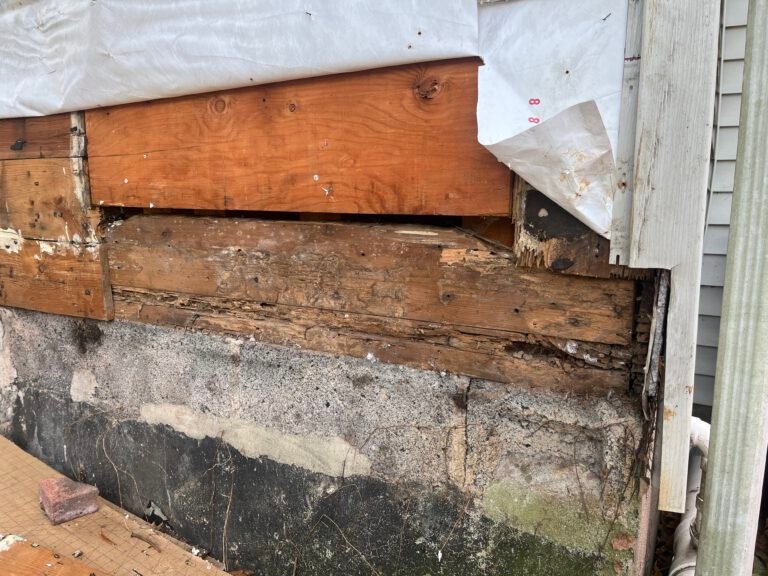 Termite Damage