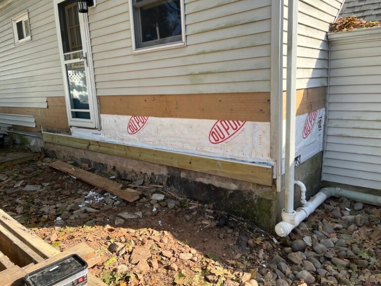 Termite Repair