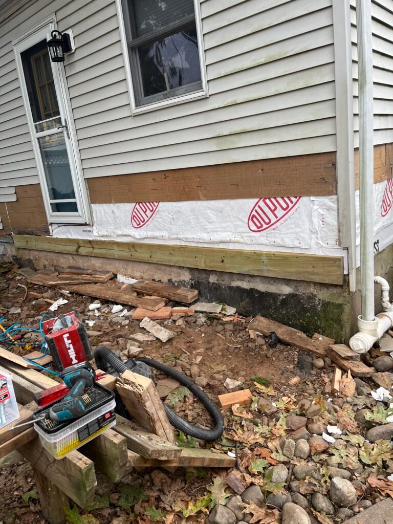 Termite Repair